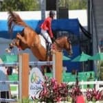 Sample 2 – Horse jumping