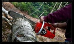 Sample 6 – Chain saw