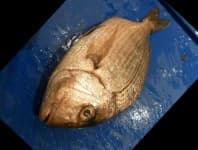 Sample 2 – Red sea bream