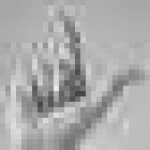Sample 6 – Hand sign