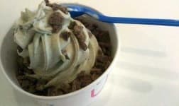 Sample 3 – Frozen yogurt
