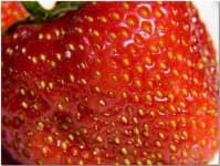 Sample 4 – Strawberry
