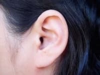 Sample of Ear