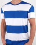 Sample 2 – Blue shirt