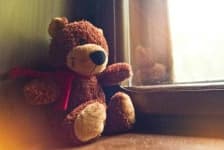 Sample 21 – Teddy bear