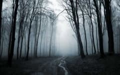 Sample of Foggy