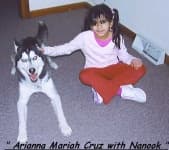 Sample 4 – Eskimo dog