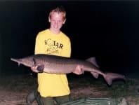 Sample 1 – Sturgeon