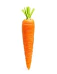 Sample 1 – Carrot