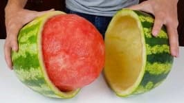 Sample 1 – Watermelon