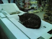 Sample 2 – Photocopier
