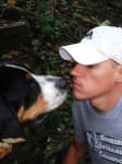 Sample 2 – Greater swiss mountain dog