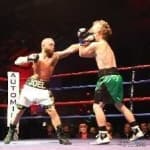 Sample 4 – Boxing