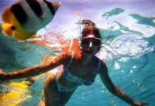 Sample 2 – Snorkel