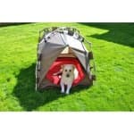 Sample 4 – Tent
