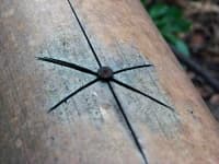 Sample 6 – Nail