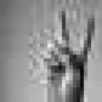 Sample 5 – Hand sign v