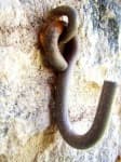Sample 2 – Hook