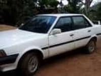 Sample 24 – Carina car