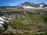 Sample 4 – Alp