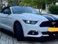 Sample 3 – Mustang car