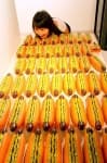 Sample 2 – Hotdog
