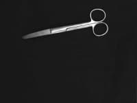 Sample 2 – Curved scissor