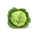 Sample 2 – Cabbage