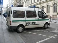 Sample 6 – Police van