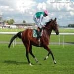 Sample 4 – Horse racing
