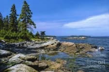 Sample of Rocky shore