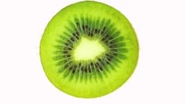 Sample 6 – Kiwi