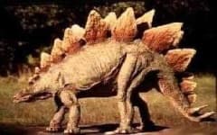 Sample 2 – Stegosaurus