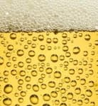 Sample 4 – Bubbly