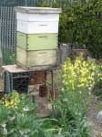 Sample 1 – Apiary