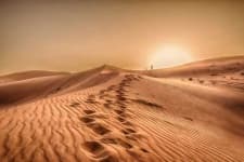 Sample 6 – Desert