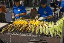 Sample 6 – Corn