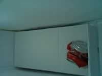 Sample 2 – Can