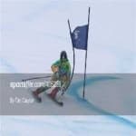 Sample 5 – Giant slalom