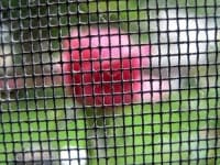 Sample 2 – Window screen