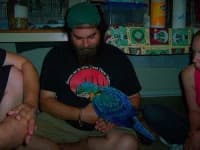 Sample 5 – Macaw