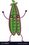 Sample 2 – String bean