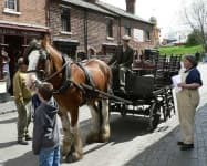 Sample 4 – Horse cart