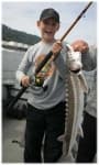 Sample 3 – Sturgeon