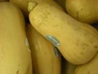 Sample 6 – Butternut squash