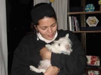 Sample 2 – West highland white terrier