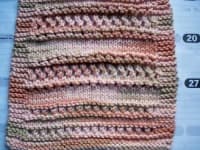 Sample 6 – Dishrag