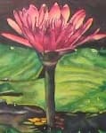 Sample 6 – Water lilly