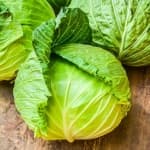 Sample 1 – Cabbage