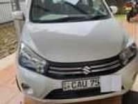 Sample 17 – Celerio car